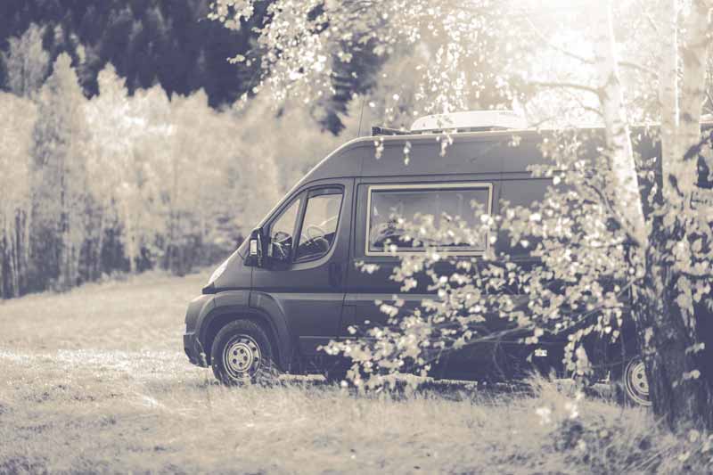 Ein Campervan steht geschützt hinter einer Birke auf einer Wiese